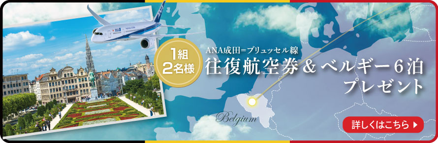 1組2名様 ANAで行くベルギーの旅6泊7日