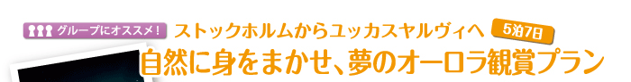 ストックホルムからユッカスヤルヴィへ　自然に身をまかせて、夢のオーロラ観賞プラン　5泊7日