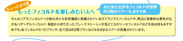 もっとフィヨルドを楽しみたい人へ