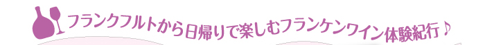 フランクフルトから日帰りで楽しむフランケンワイン体験紀行♪