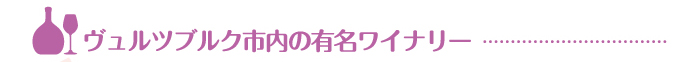 ヴュルツブルク市内の有名ワイナリー